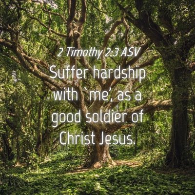 Picture 04 - 2 Timothy 2:3 ASV - Suffer hardship with `me', as a good soldier of - Bible Verse Picture