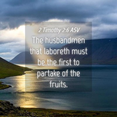 Picture 04 - 2 Timothy 2:6 ASV - The husbandmen that laboreth must be the first to - Bible Verse Picture