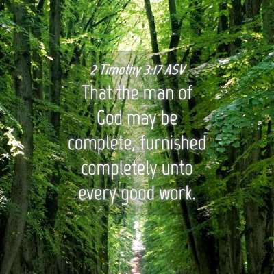 Picture 04 - 2 Timothy 3:17 ASV - That the man of God may be complete, furnished - Bible Verse Picture