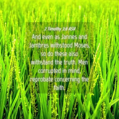 Picture 04 - 2 Timothy 3:8 ASV - And even as Jannes and Jambres withstood Moses, - Bible Verse Picture