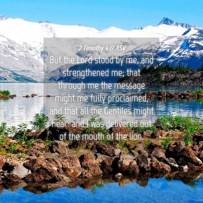 Picture 04 - 2 Timothy 4:17 ASV - But the Lord stood by me, and strengthened me; - Bible Verse Picture