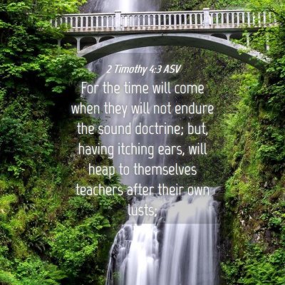 Picture 04 - 2 Timothy 4:3 ASV - For the time will come when they will not endure - Bible Verse Picture