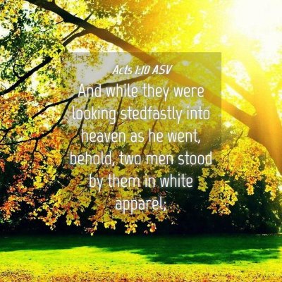 Picture 04 - Acts 1:10 ASV - And while they were looking stedfastly into - Bible Verse Picture