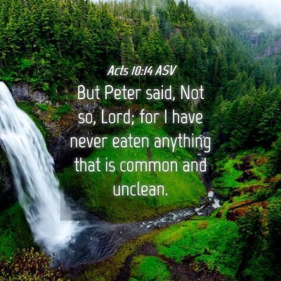 Picture 04 - Acts 10:14 ASV - But Peter said, Not so, Lord; for I have never - Bible Verse Picture