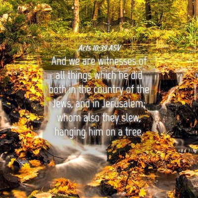 Picture 04 - Acts 10:39 ASV - And we are witnesses of all things which he did - Bible Verse Picture