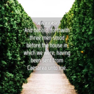 Picture 04 - Acts 11:11 ASV - And behold, forthwith three men stood before the - Bible Verse Picture