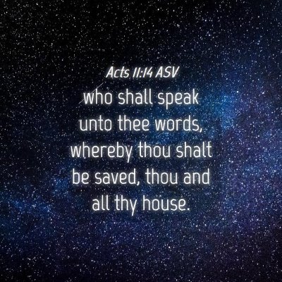 Picture 04 - Acts 11:14 ASV - who shall speak unto thee words, whereby thou - Bible Verse Picture