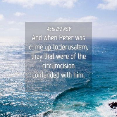 Picture 04 - Acts 11:2 ASV - And when Peter was come up to Jerusalem, they - Bible Verse Picture
