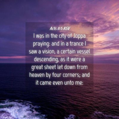 Picture 04 - Acts 11:5 ASV - I was in the city of Joppa praying: and in a - Bible Verse Picture