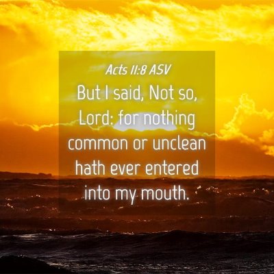 Picture 04 - Acts 11:8 ASV - But I said, Not so, Lord: for nothing common or - Bible Verse Picture