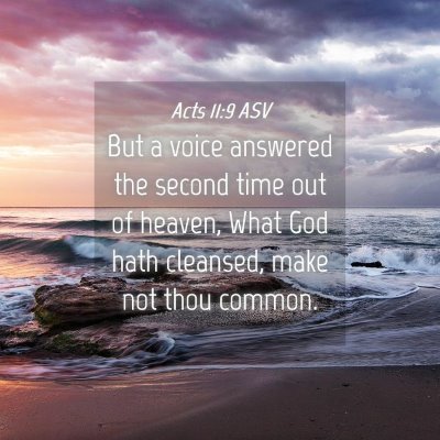 Picture 04 - Acts 11:9 ASV - But a voice answered the second time out of - Bible Verse Picture