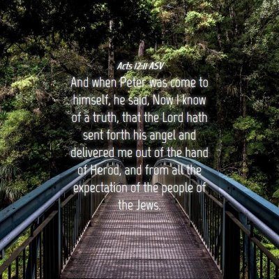 Picture 04 - Acts 12:11 ASV - And when Peter was come to himself, he said, Now - Bible Verse Picture