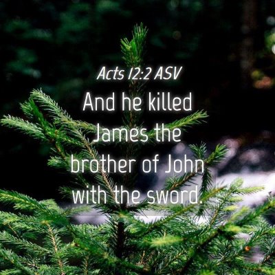 Picture 04 - Acts 12:2 ASV - And he killed James the brother of John with the - Bible Verse Picture