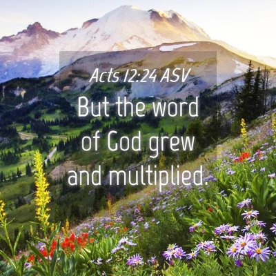 Picture 04 - Acts 12:24 ASV - But the word of God grew and - Bible Verse Picture