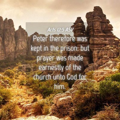 Picture 04 - Acts 12:5 ASV - Peter therefore was kept in the prison: but - Bible Verse Picture