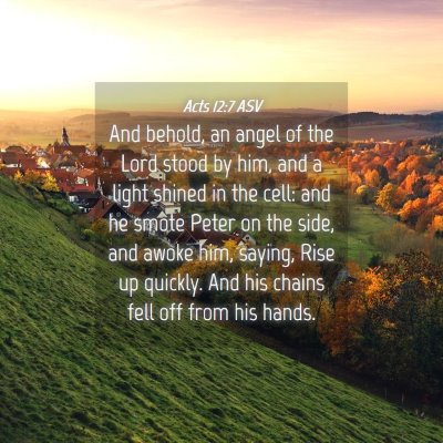 Picture 04 - Acts 12:7 ASV - And behold, an angel of the Lord stood by him, - Bible Verse Picture