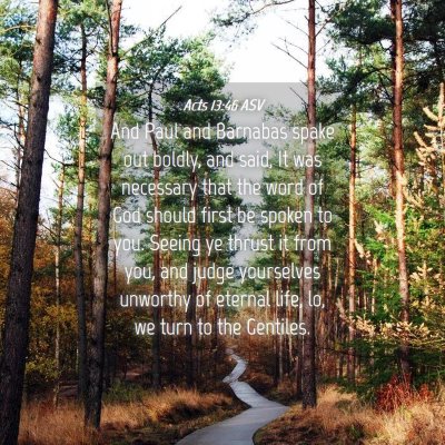 Picture 04 - Acts 13:46 ASV - And Paul and Barnabas spake out boldly, and said, - Bible Verse Picture
