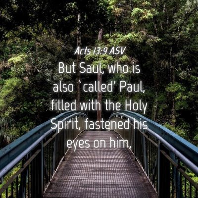 Picture 04 - Acts 13:9 ASV - But Saul, who is also `called' Paul, filled with - Bible Verse Picture