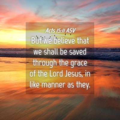 Picture 04 - Acts 15:11 ASV - But we believe that we shall be saved through the - Bible Verse Picture