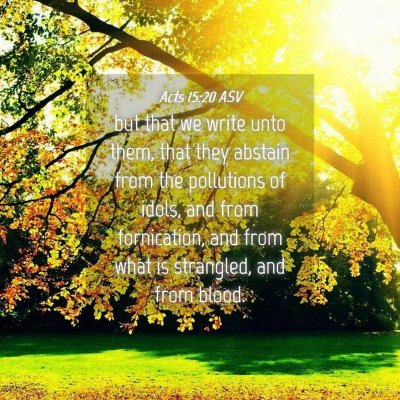 Picture 04 - Acts 15:20 ASV - but that we write unto them, that they abstain - Bible Verse Picture
