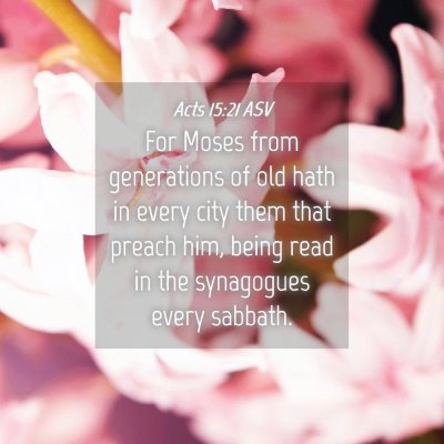 Picture 04 - Acts 15:21 ASV - For Moses from generations of old hath in every - Bible Verse Picture