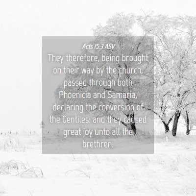Picture 04 - Acts 15:3 ASV - They therefore, being brought on their way by the - Bible Verse Picture