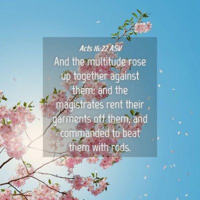 Picture 04 - Acts 16:22 ASV - And the multitude rose up together against them: - Bible Verse Picture