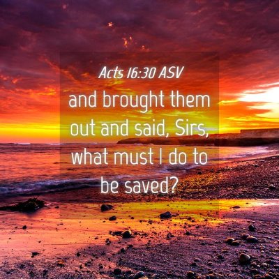 Picture 04 - Acts 16:30 ASV - and brought them out and said, Sirs, what must I - Bible Verse Picture