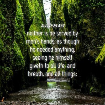 Picture 04 - Acts 17:25 ASV - neither is he served by men's hands, as though he - Bible Verse Picture
