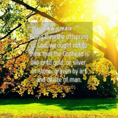 Picture 04 - Acts 17:29 ASV - Being then the offspring of God, we ought not to - Bible Verse Picture