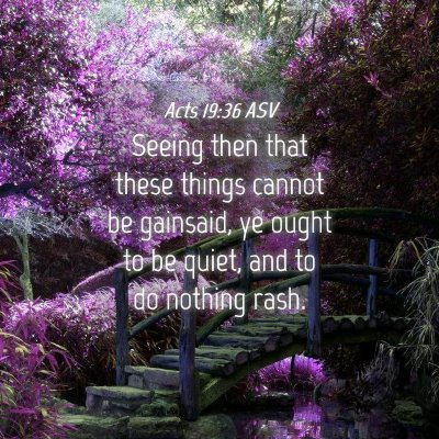 Picture 04 - Acts 19:36 ASV - Seeing then that these things cannot be gainsaid, - Bible Verse Picture