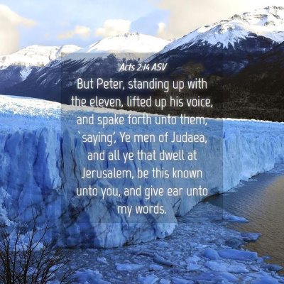 Picture 04 - Acts 2:14 ASV - But Peter, standing up with the eleven, lifted up - Bible Verse Picture