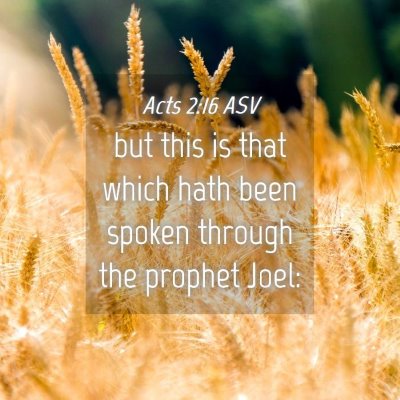 Picture 04 - Acts 2:16 ASV - but this is that which hath been spoken through - Bible Verse Picture