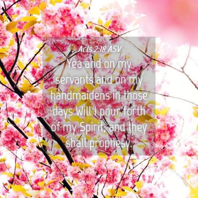 Picture 04 - Acts 2:18 ASV - Yea and on my servants and on my handmaidens in - Bible Verse Picture