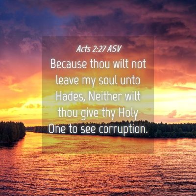 Picture 04 - Acts 2:27 ASV - Because thou wilt not leave my soul unto Hades, - Bible Verse Picture