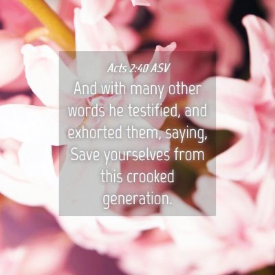 Picture 04 - Acts 2:40 ASV - And with many other words he testified, and - Bible Verse Picture