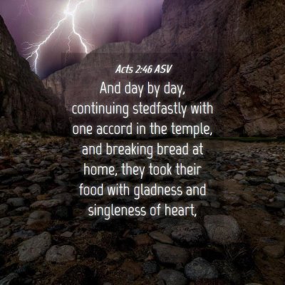 Picture 04 - Acts 2:46 ASV - And day by day, continuing stedfastly with one - Bible Verse Picture
