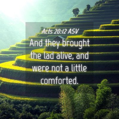 Picture 04 - Acts 20:12 ASV - And they brought the lad alive, and were not a - Bible Verse Picture