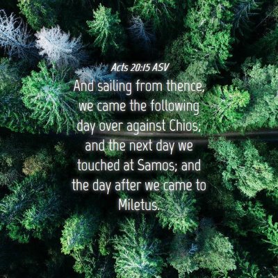 Picture 04 - Acts 20:15 ASV - And sailing from thence, we came the following - Bible Verse Picture