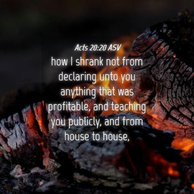 Picture 04 - Acts 20:20 ASV - how I shrank not from declaring unto you anything - Bible Verse Picture