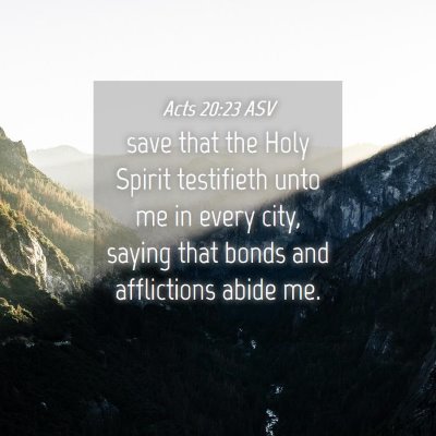 Picture 04 - Acts 20:23 ASV - save that the Holy Spirit testifieth unto me in - Bible Verse Picture