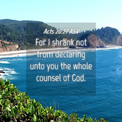 Picture 04 - Acts 20:27 ASV - For I shrank not from declaring unto you the - Bible Verse Picture