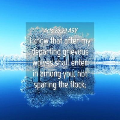 Picture 04 - Acts 20:29 ASV - I know that after my departing grievous wolves - Bible Verse Picture
