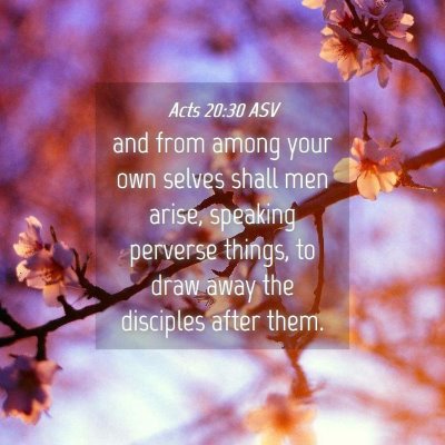 Picture 04 - Acts 20:30 ASV - and from among your own selves shall men arise, - Bible Verse Picture
