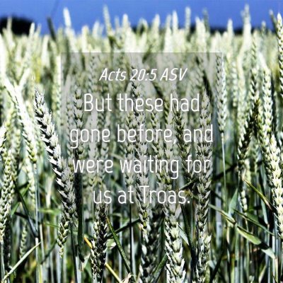 Picture 04 - Acts 20:5 ASV - But these had gone before, and were waiting for - Bible Verse Picture