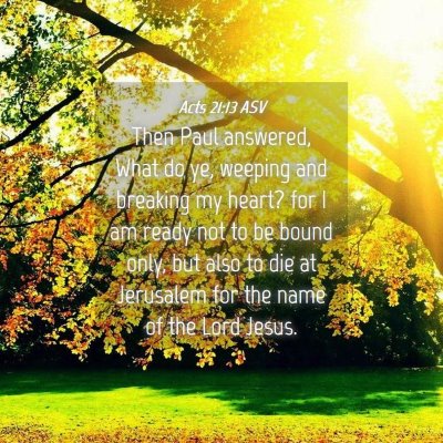 Picture 04 - Acts 21:13 ASV - Then Paul answered, What do ye, weeping and - Bible Verse Picture