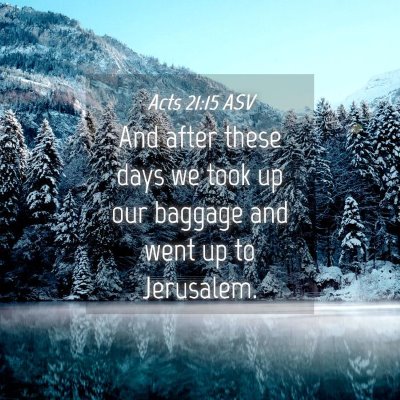 Picture 04 - Acts 21:15 ASV - And after these days we took up our baggage and - Bible Verse Picture