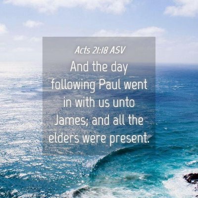 Picture 04 - Acts 21:18 ASV - And the day following Paul went in with us unto - Bible Verse Picture