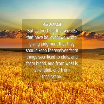 Picture 04 - Acts 21:25 ASV - But as touching the Gentiles that have believed, - Bible Verse Picture