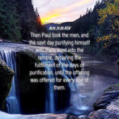 Picture 04 - Acts 21:26 ASV - Then Paul took the men, and the next day - Bible Verse Picture